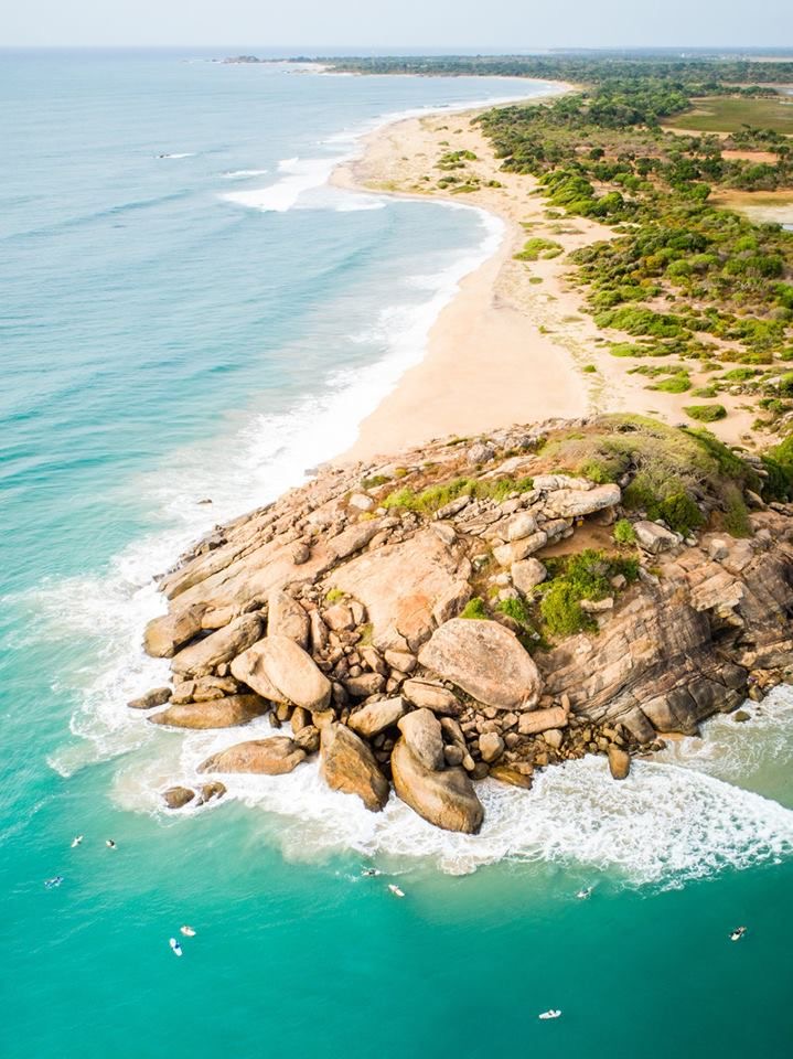 Arugam Bay - Surf Culture & Marine Life