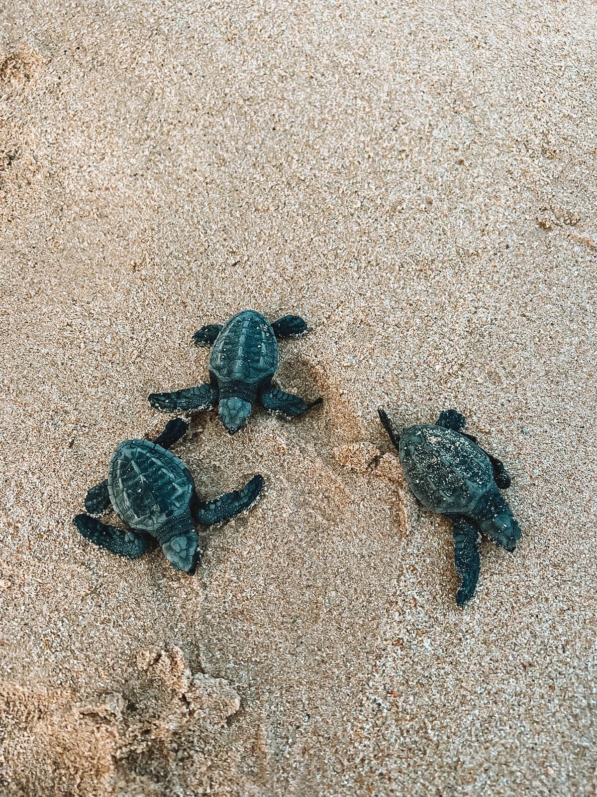 Tangalle - Secluded Beaches